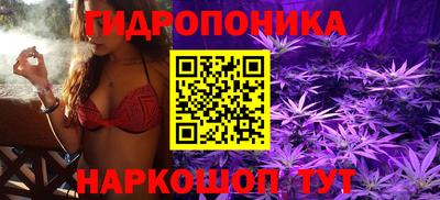 сатива Кулебаки