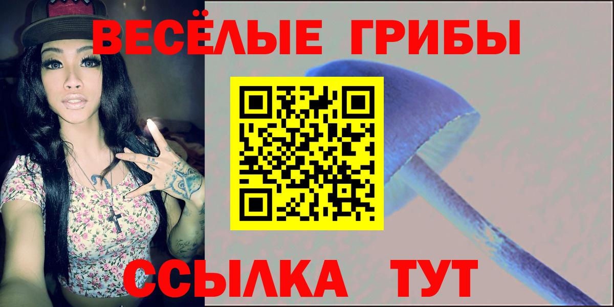 Дербент  Галлюциногенные грибы GOLDEN TEACHER  Вход с VPN  дарнет шоп  Галлюциногенные грибы GOLDEN TEACHER 